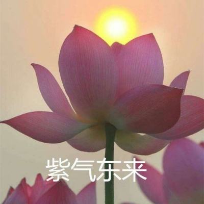 大大争霸公益服下载